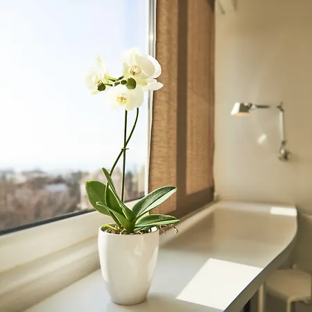 르 레망 오텔 3* 브베