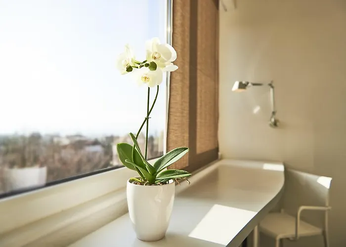 Le Leman Hotel Vevey