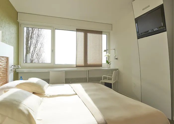 Le Leman Hotel Vevey