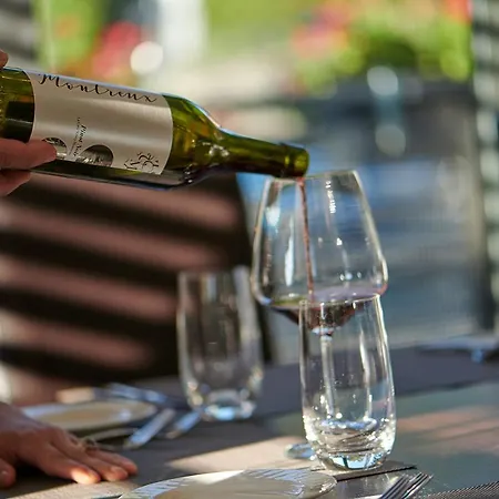 Le Leman Hotel Vevey