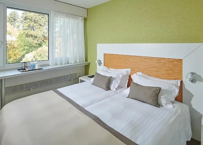 勒乐檬酒店 3* 沃韦