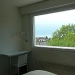 لو ليمان فندق