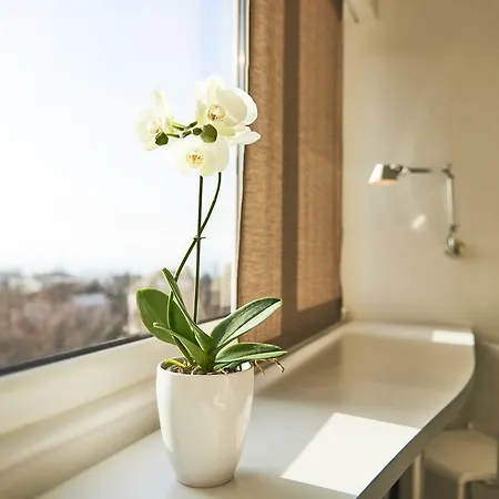 Le Leman Hotel Vevey