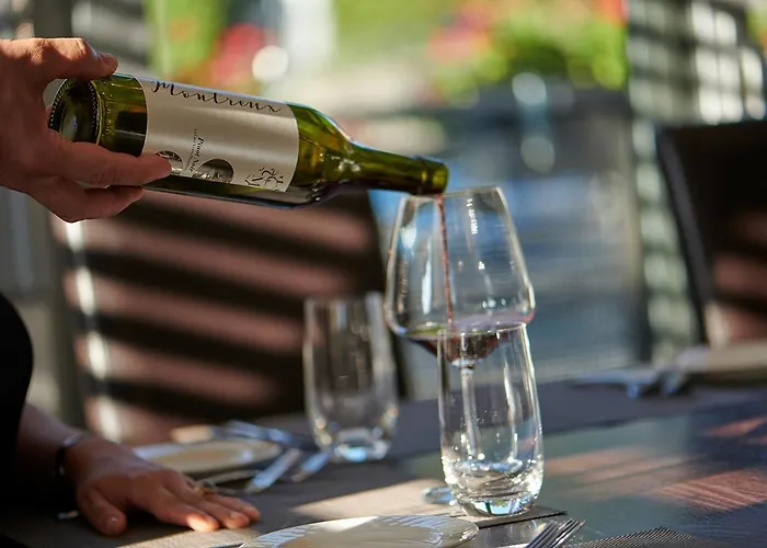 Le Leman Hotel Vevey